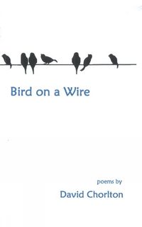 Cover image for Bird on a Wire