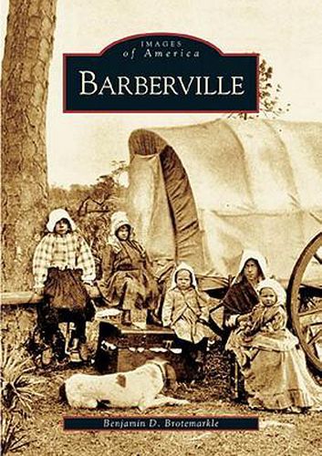 Cover image for Barberville