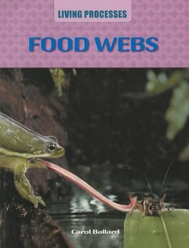 Cover image for Food Webs