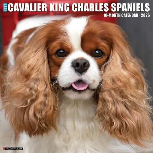 Cover image for Cavalier King Charles Spaniels 2026 Wall Calendar
