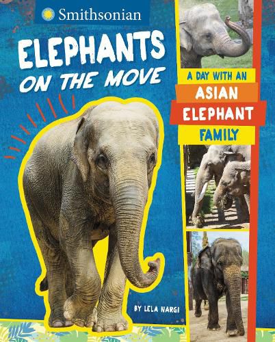 Elephants on the Move: A Day with an Asian Elephant Family