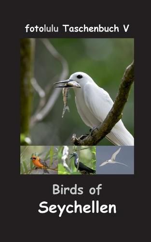 Cover image for Birds of Seychellen