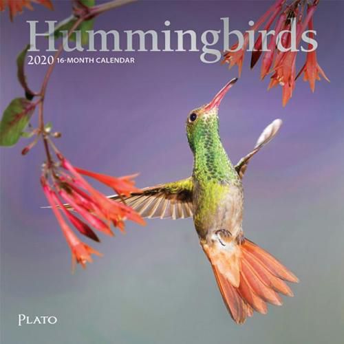 Hummingbirds 2020 Mini 7x7 Plato Foil