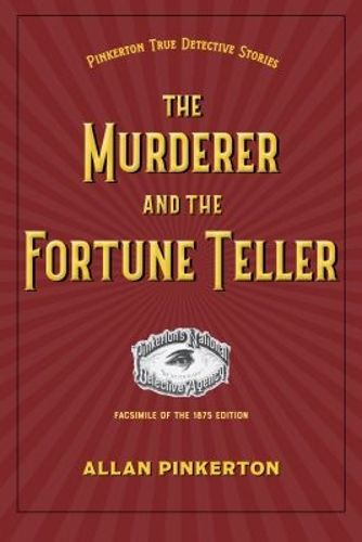 Cover image for The Murderer and the Fortune Teller