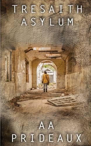 Cover image for Tresaith Asylum