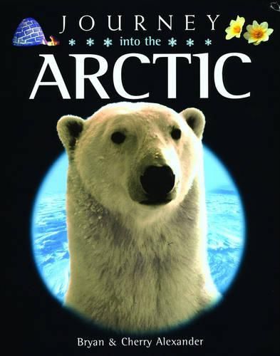 Journey Into the Arctic