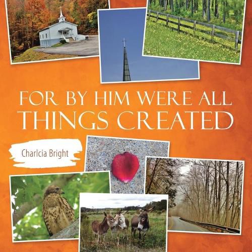 Cover image for For by Him Were All Things Created