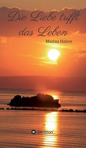 Cover image for Die Liebe trifft das Leben