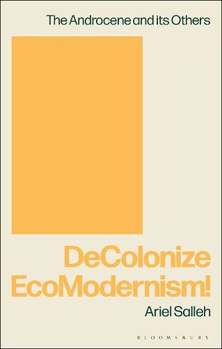 Cover image for DeColonize EcoModernism!