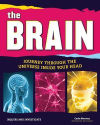 Cover image for The Brain: Journey Through the Universe Inside Your Head