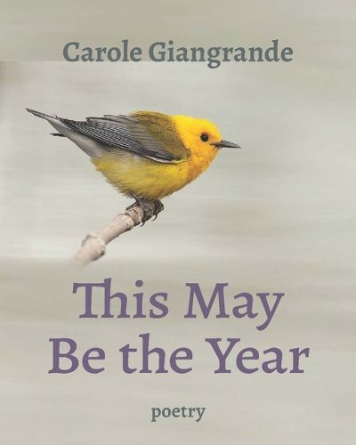 Cover image for This May Be the Year