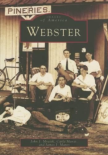 Cover image for Webster