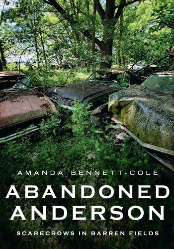 Cover image for Abandoned Anderson, Indiana: Scarecrows in Barren Fields