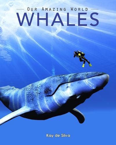 Cover image for Whales: Amazing Pictures & Fun Facts on Animals in Nature