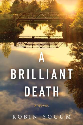 Cover image for A Brilliant Death