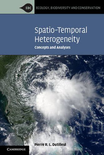 Cover image for Spatio-Temporal Heterogeneity: Concepts and Analyses