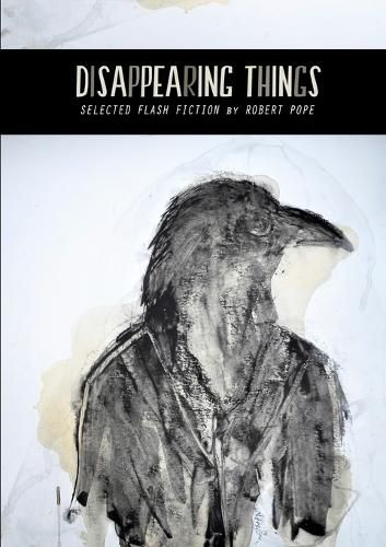 Cover image for Disappearing Things