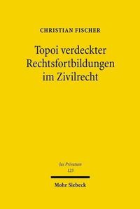 Cover image for Topoi verdeckter Rechtsfortbildungen im Zivilrecht