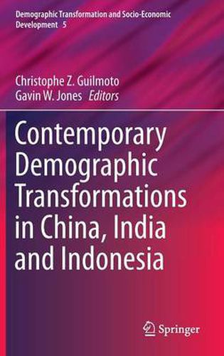 Cover image for Contemporary Demographic Transformations in China, India and Indonesia