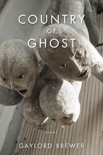 Cover image for Country of Ghost