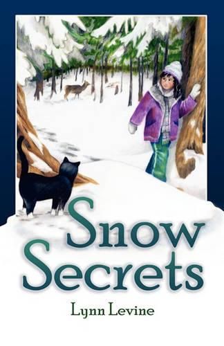 Cover image for Snow Secrets