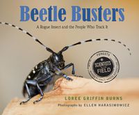 Cover image for Beetle Busters