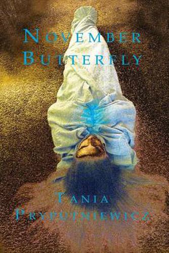 Cover image for November Butterfly