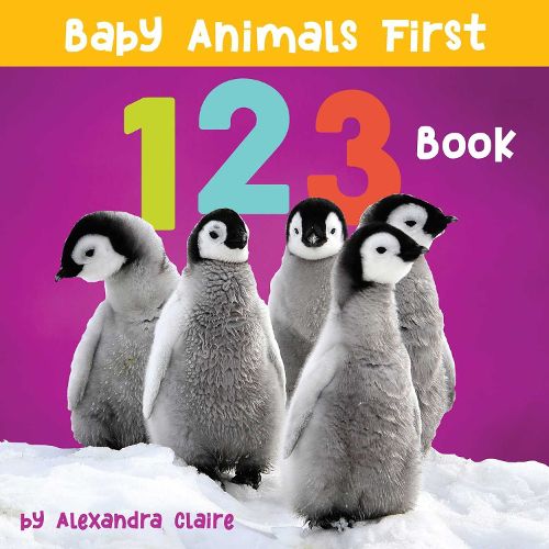 Cover image for Baby Animals First 123 Book