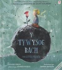 Cover image for Tywysog Bach, Y / Little Prince, The