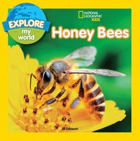 Cover image for Explore My World: Honey Bees