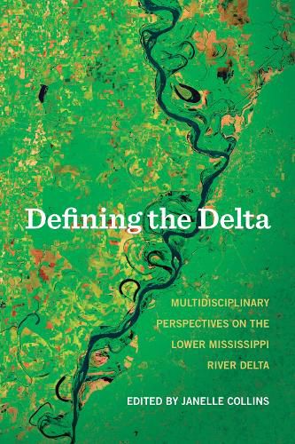 Cover image for Defining the Delta: Multidisciplinary Perspectives on the Lower Mississippi River Delta