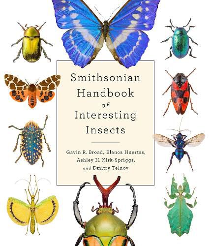 Cover image for Smithsonian Handbook of Interesting Insects