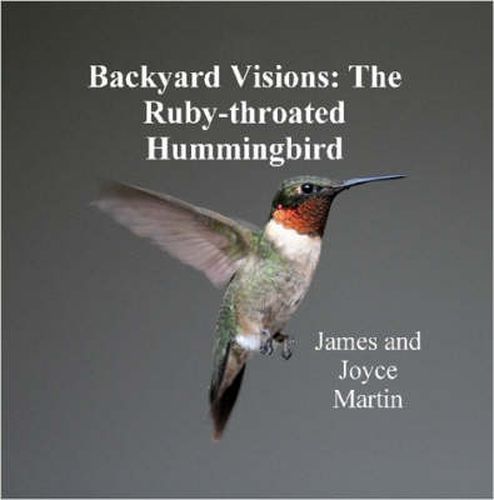 Backyard Visions: The Ruby-throated Hummingbird