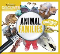 Cover image for Australian Geographic Discover: Animal Families