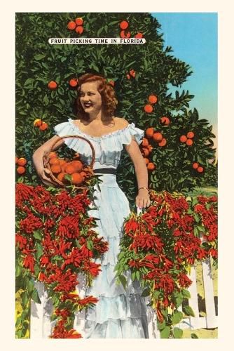 Cover image for Vintage Journal Southern Belle, Oranges, Florida