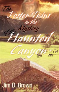 Cover image for The Foster Twins in the Mystery of the Haunted Canyon