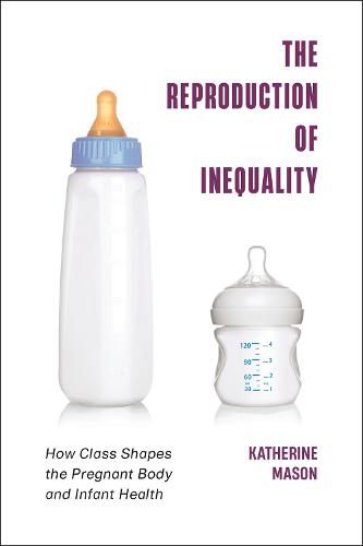 Cover image for The Reproduction of Inequality