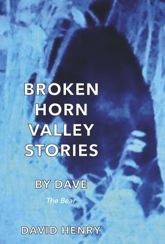 Cover image for Broken Horn Valley Stories by Dave