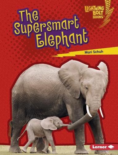 Cover image for The Supersmart Elephant