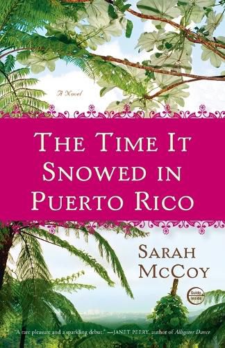 Cover image for The Time It Snowed in Puerto Rico: A Novel