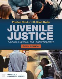 Cover image for Juvenile Justice: A Social, Historical, And Legal Perspective