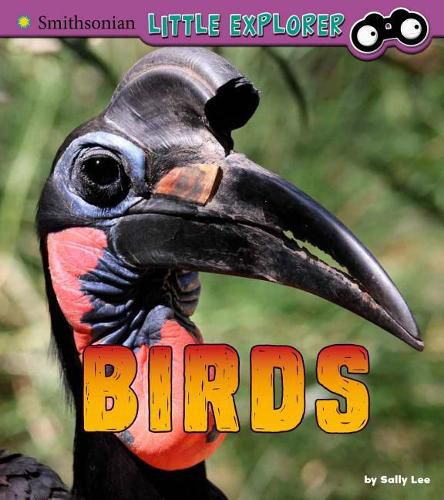 Birds: a 4D Book (Little Zoologist)