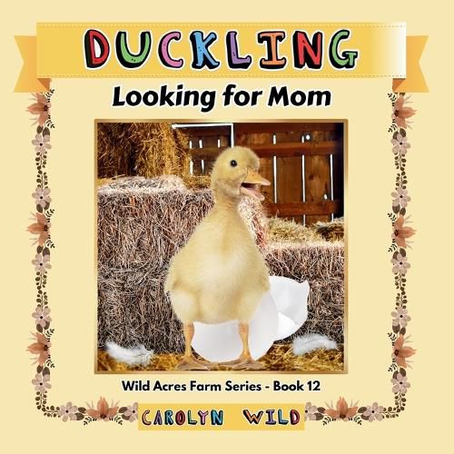 Cover image for Duckling