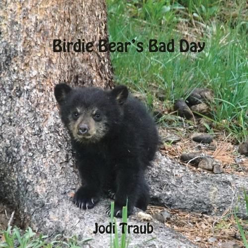 Cover image for Birdie Bear's Bad Day