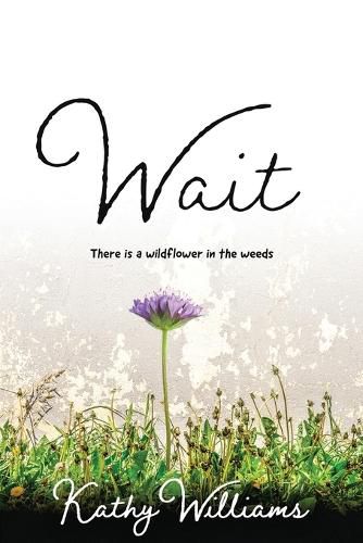 Cover image for Wait