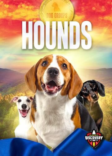 Cover image for Hounds