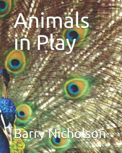 Cover image for Animals in Play