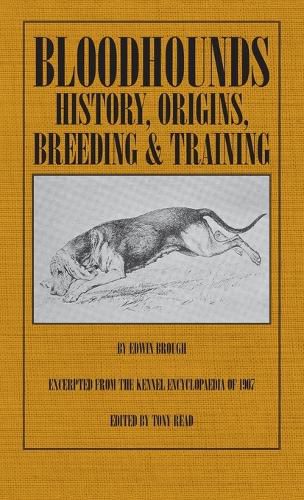 Cover image for Bloodhounds: History - Origins - Breeding - Training
