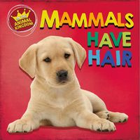 Cover image for In the Animal Kingdom: Mammals Have Hair