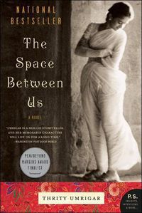 Cover image for The Space Between Us